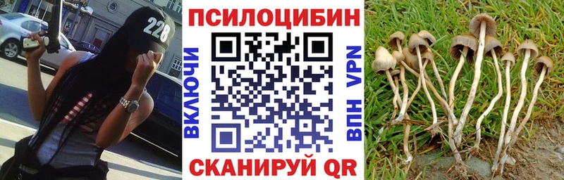 Псилоцибиновые грибы Psilocybe Фёдоровский